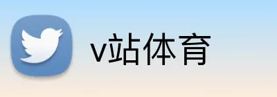 v站体育 logo
